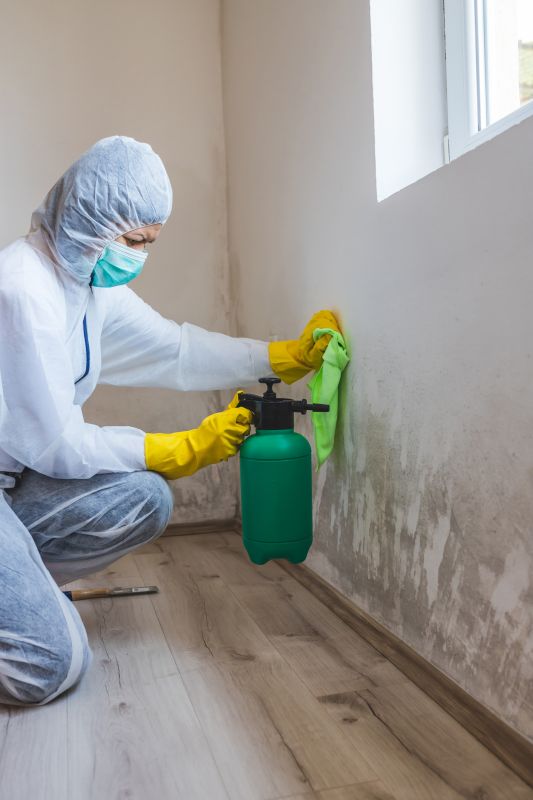Contact About Mold Service