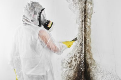 Mold Abatement Service detail